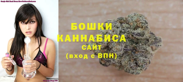 spice Богданович