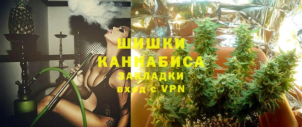 spice Богданович