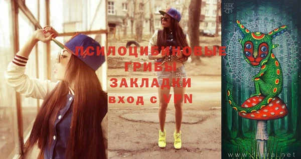 ECSTASY Богородицк