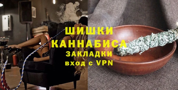 spice Богданович