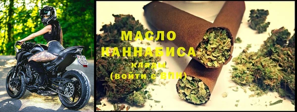 ECSTASY Богородицк