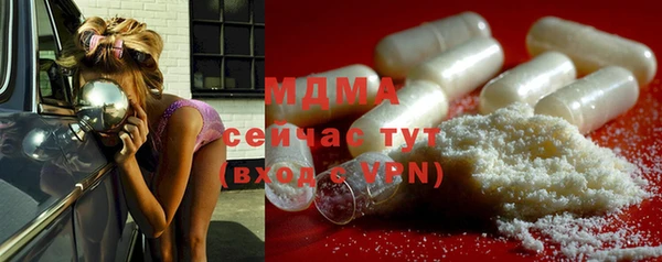 spice Богданович