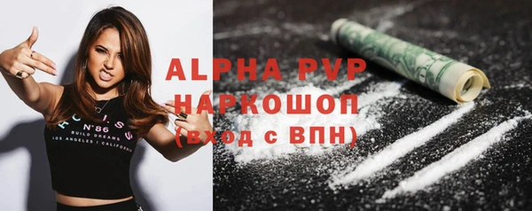 ECSTASY Богородицк