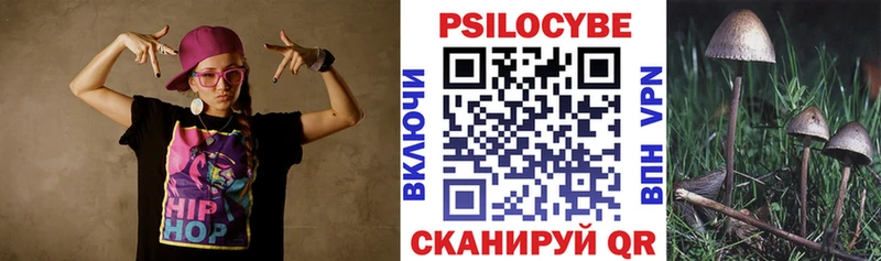 Галлюциногенные грибы Psilocybe  Велиж 